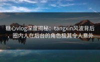 糖心vlog深度揭秘：tangxin风波背后，圈内人在后台的角色极其令人意外