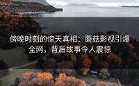 傍晚时刻的惊天真相：蘑菇影视引爆全网，背后故事令人震惊