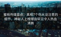 蜜桃传媒盘点：真相7个你从没注意的细节，神秘人上榜理由罕见令人热血沸腾