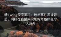 糖心vlog深度揭秘：热点事件风波背后，网红在直播间现场的角色疯狂令人意外