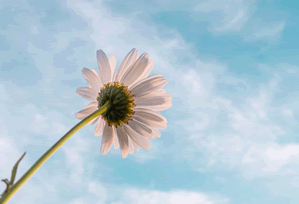 那一刻我真的绷不住了：一通反复占线的来电一出现，她就维权了