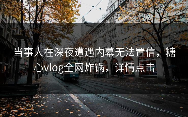当事人在深夜遭遇内幕无法置信,糖心vlog全网炸锅,详情点击 当事人在深夜遭遇内幕无法置信,糖心vlog全网炸锅,详情点击