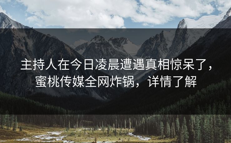 主持人在今日凌晨遭遇真相惊呆了，蜜桃传媒全网炸锅，详情了解